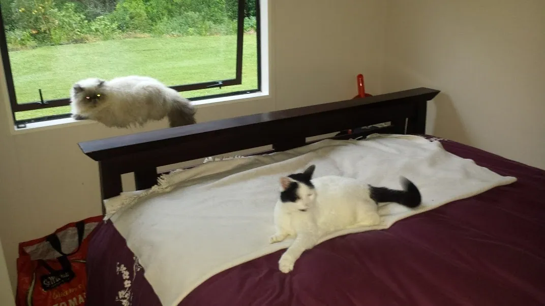 B20 marshall and his shadow sherlock 20 feb 2018